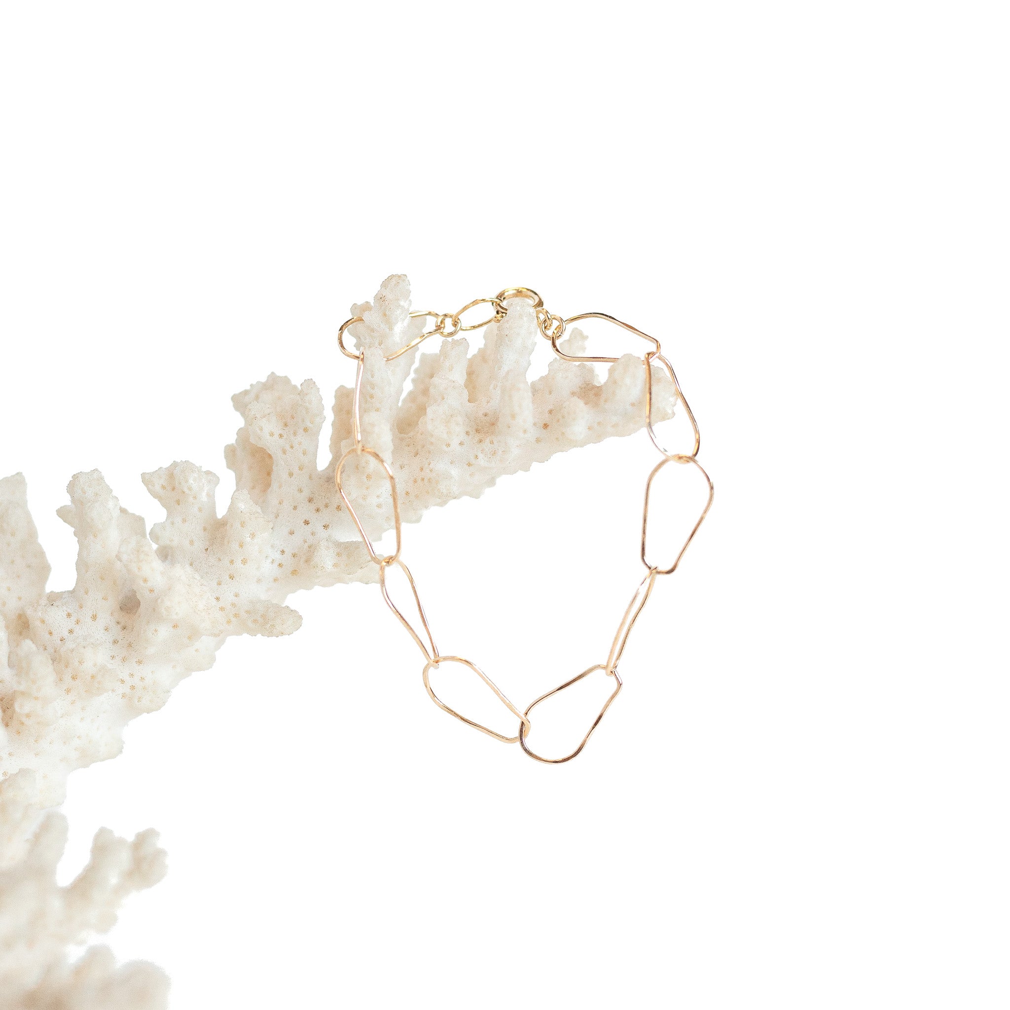 Gold filled pear chain bracelet. Shown on a piece of coral. 