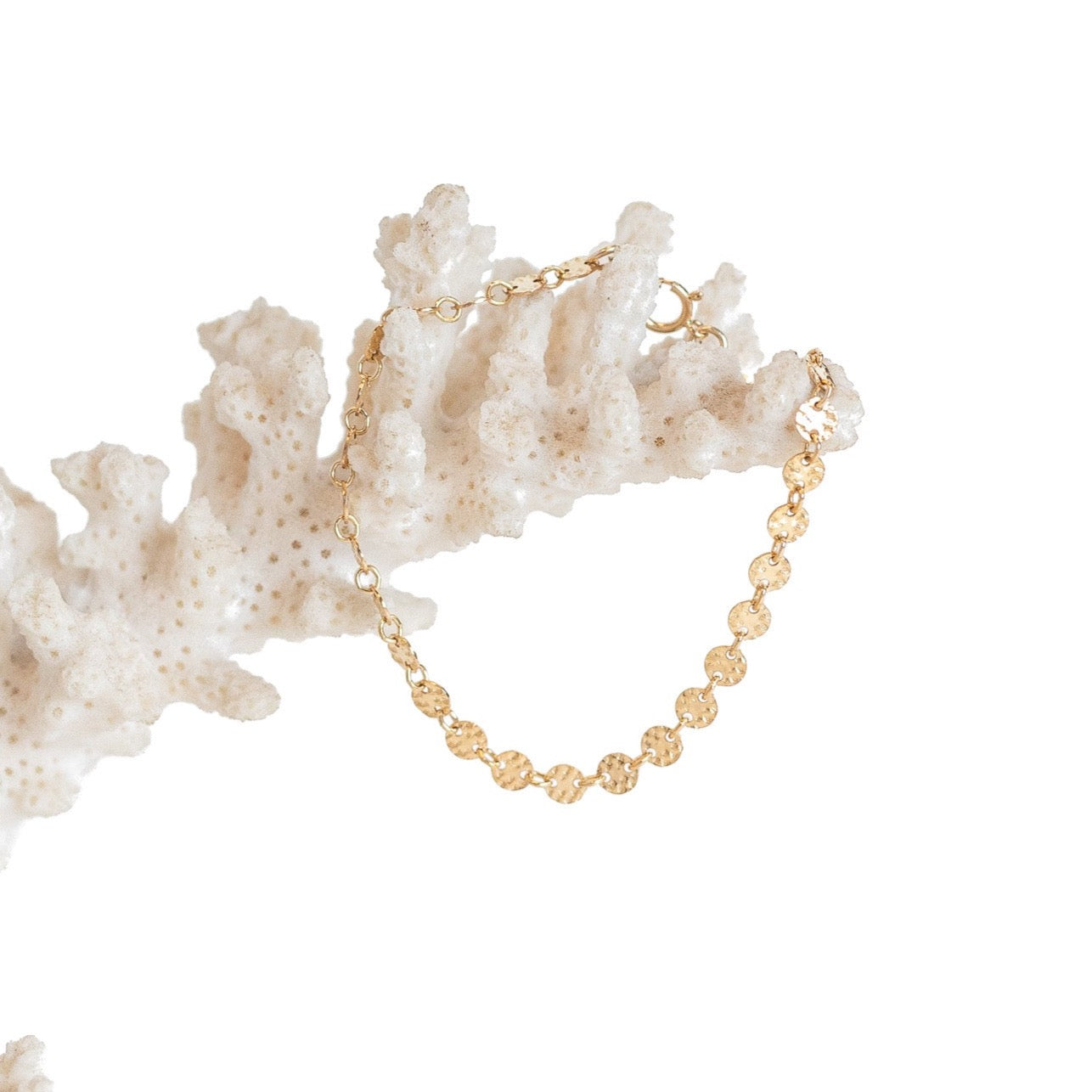Dainty gold filled disk chain bracelet. Shown on a piece of coral. 