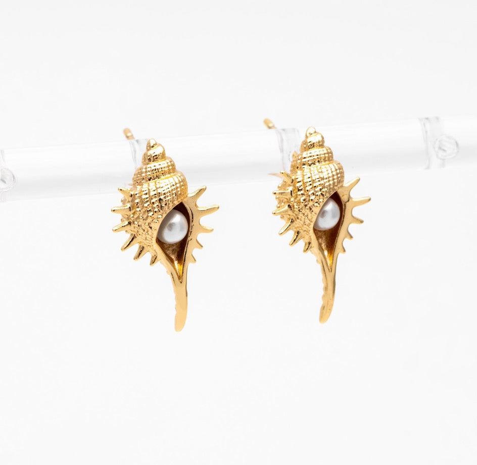 Petite Conch Shell Stud Earrings