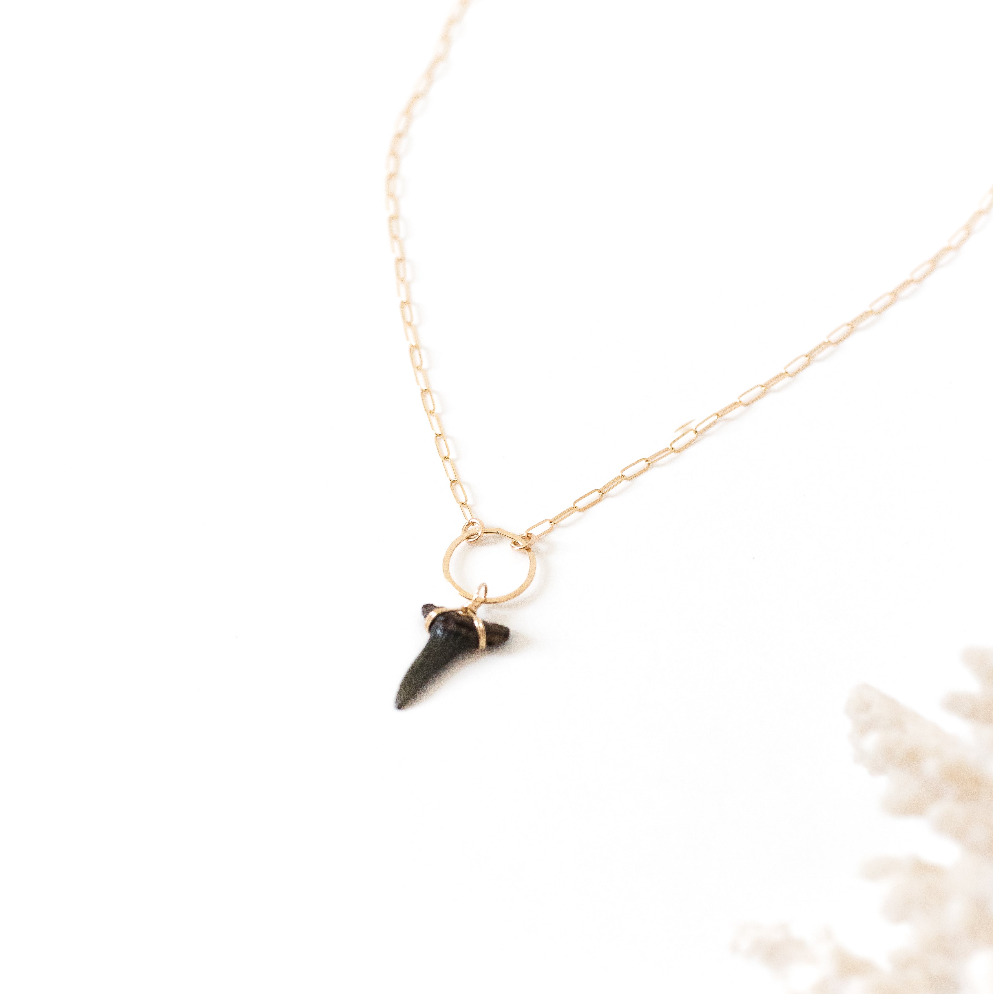 A shark tooth wrapped onto a gold circle and attached to our mini paper clip chain necklace.