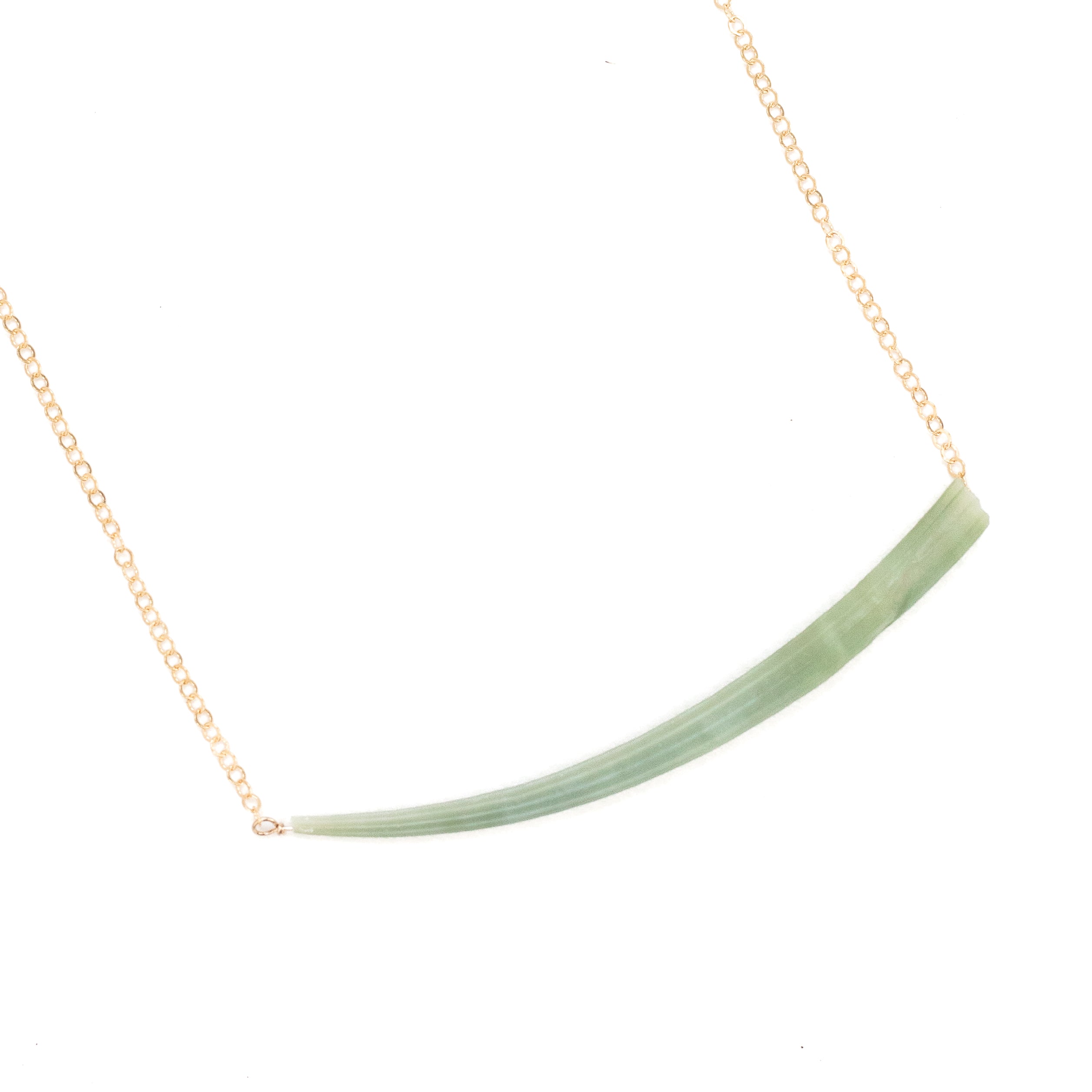 Mollusk Shell Necklace