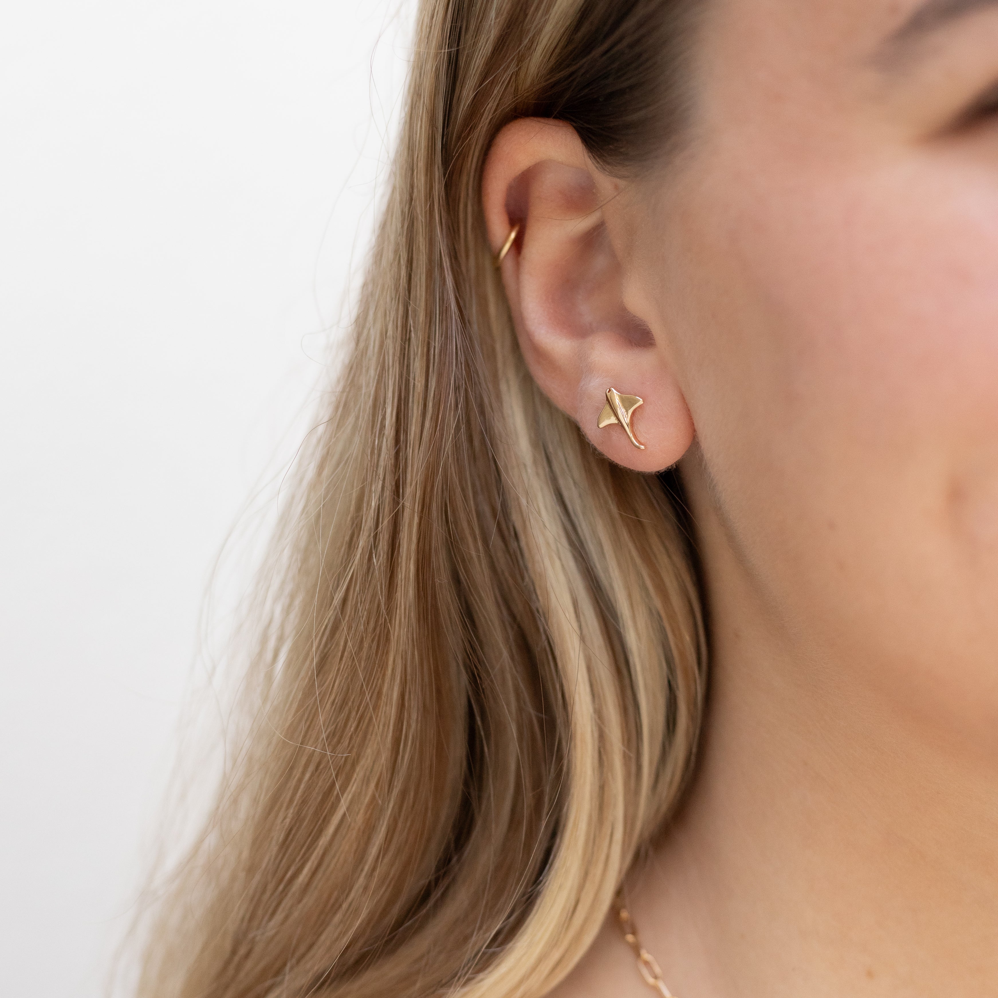 Stingray Studs