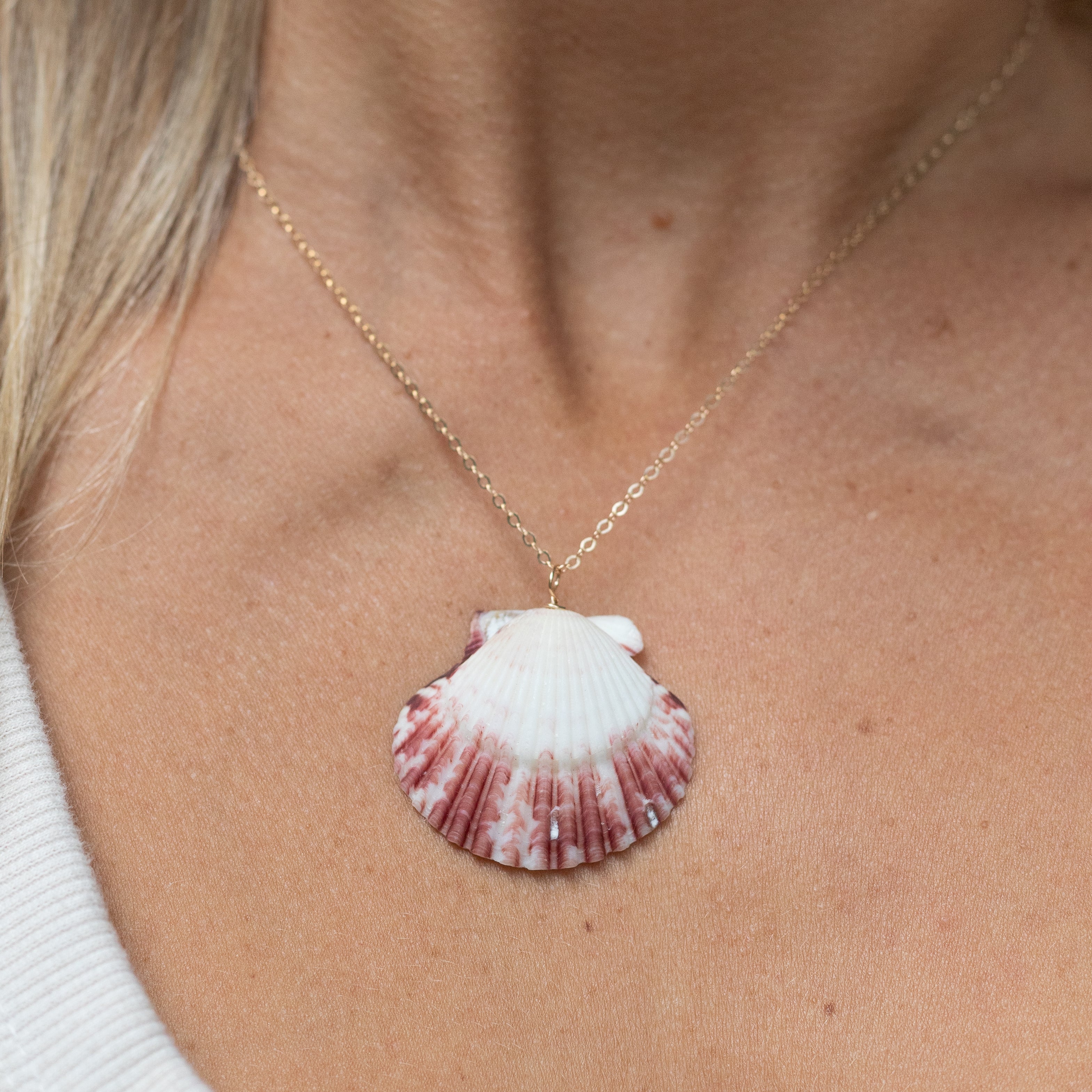 Flash Sale Friday // End of Summer Scallop Shell Necklace