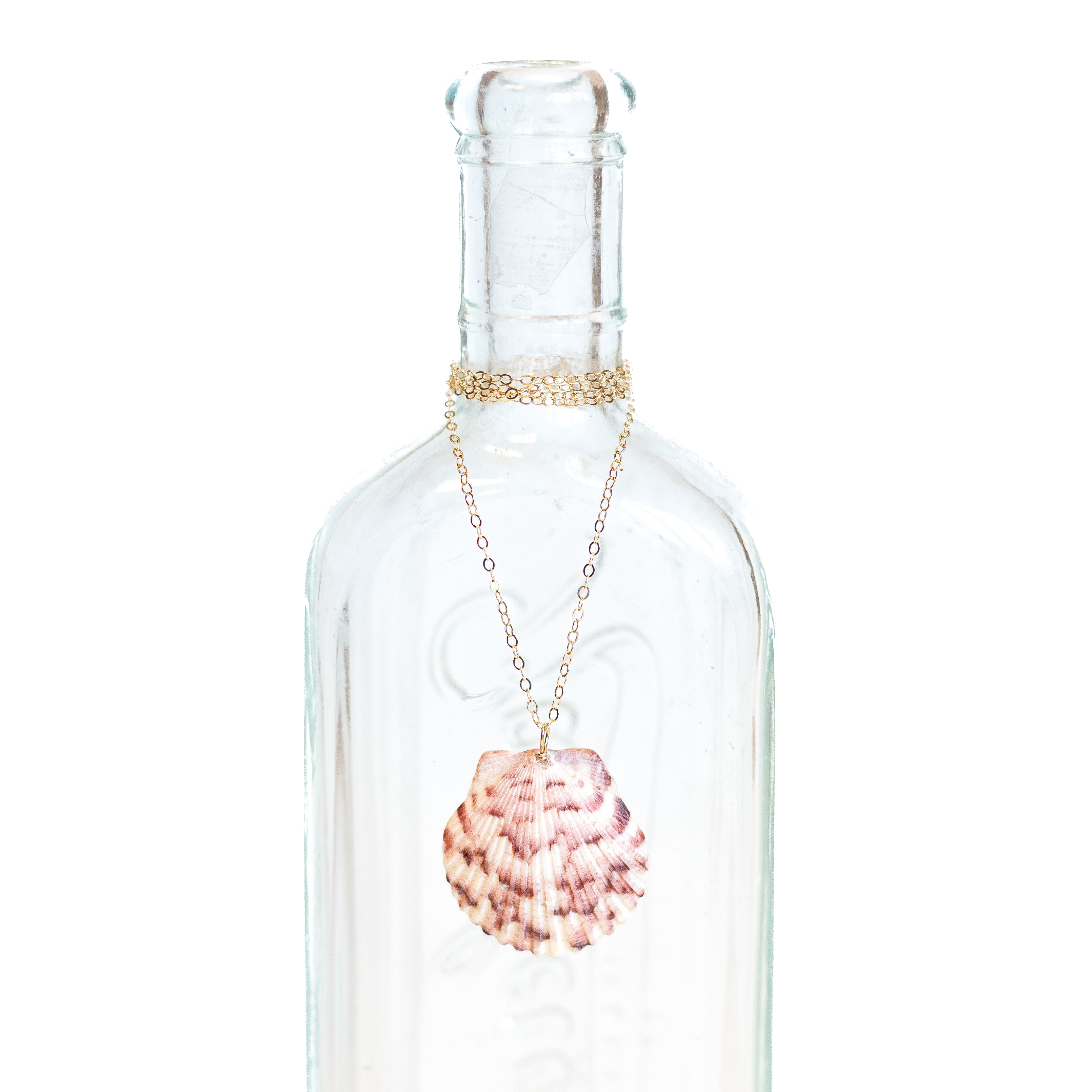 Flash Sale Friday // End of Summer Scallop Shell Necklace