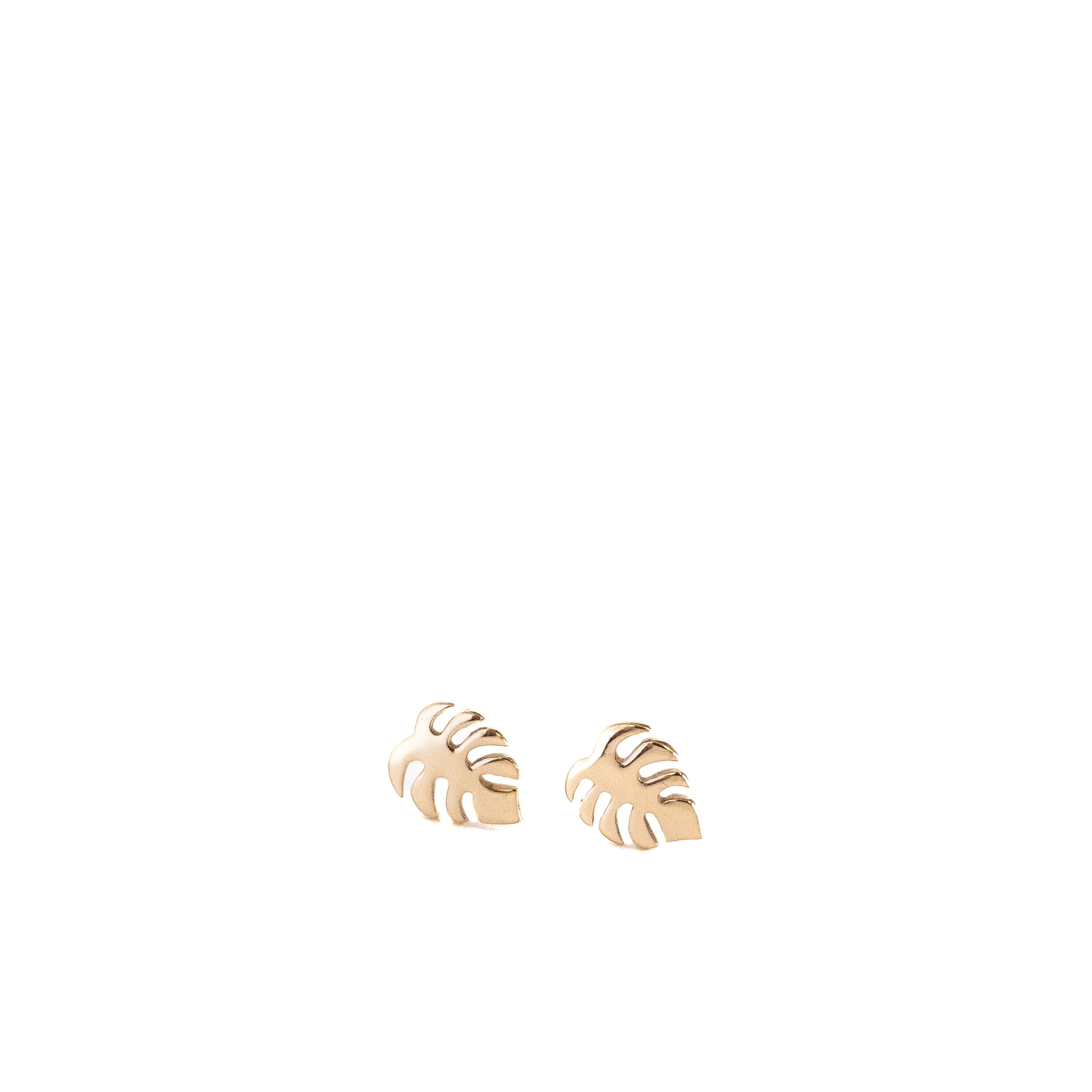 Tiny gold filled monstera leaf studs. 