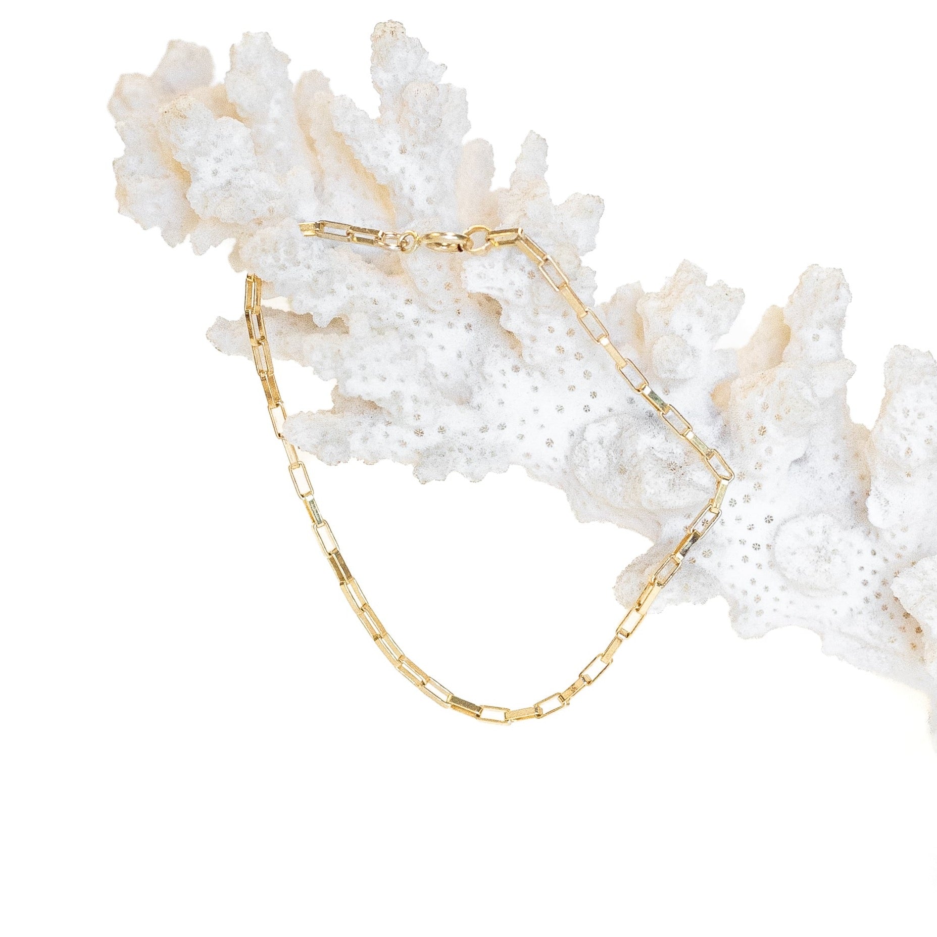 Dainty gold filled box chain bracelet. displayed on a piece of coral.
